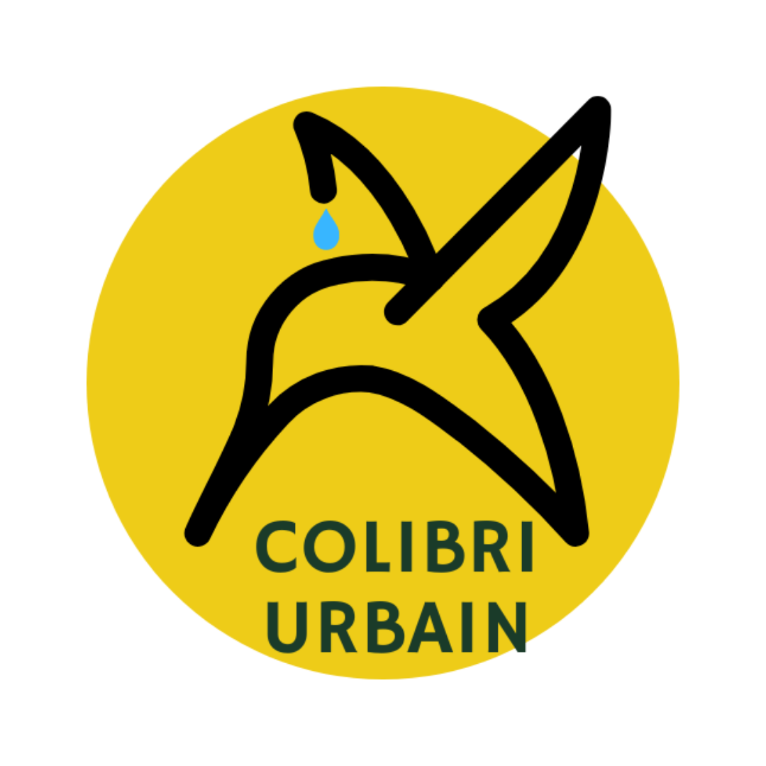 36 Logo Elmer Studio